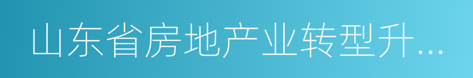 山东省房地产业转型升级实施方案的同义词