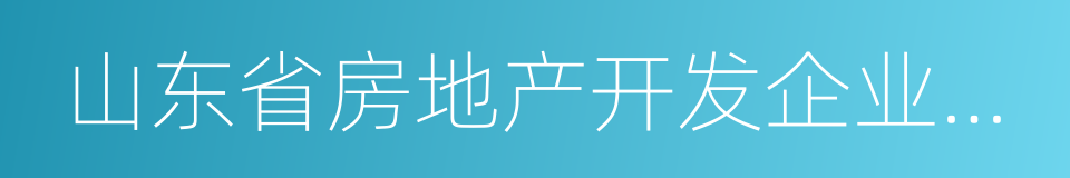 山东省房地产开发企业资质管理实施细则的同义词