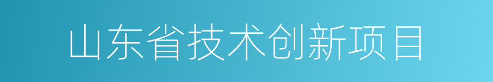 山东省技术创新项目的同义词