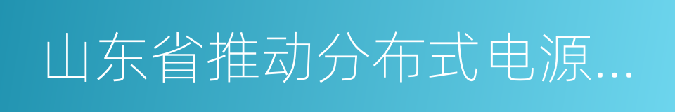 山东省推动分布式电源建设实施意见的同义词