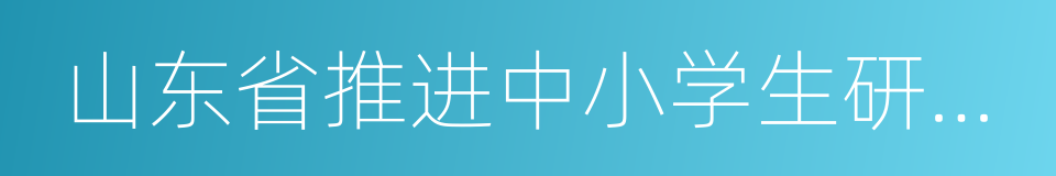 山东省推进中小学生研学旅行工作实施方案的同义词