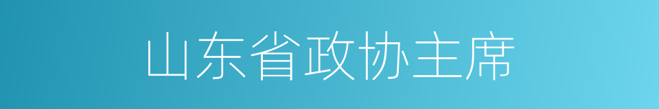 山东省政协主席的同义词