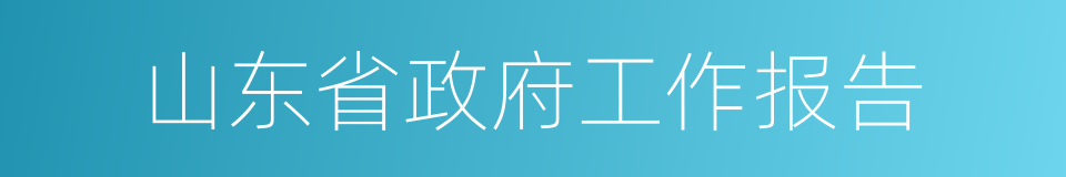 山东省政府工作报告的同义词