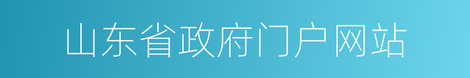 山东省政府门户网站的同义词