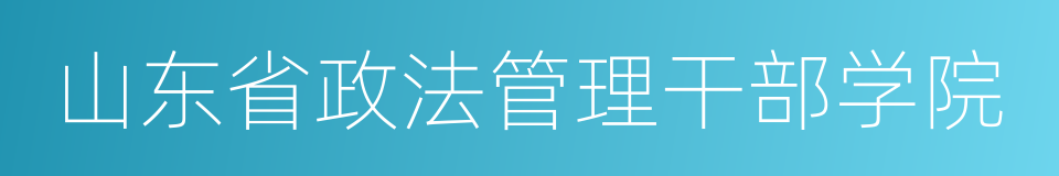 山东省政法管理干部学院的同义词