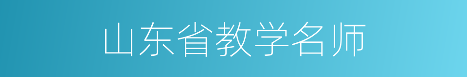 山东省教学名师的同义词