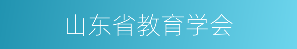 山东省教育学会的同义词