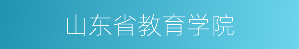 山东省教育学院的同义词