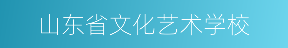 山东省文化艺术学校的同义词