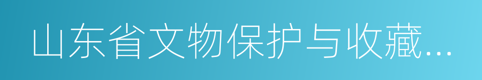 山东省文物保护与收藏协会的同义词