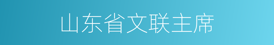 山东省文联主席的同义词