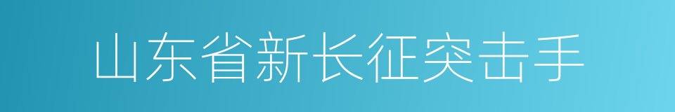 山东省新长征突击手的同义词