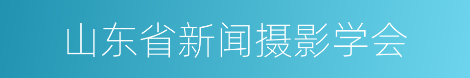 山东省新闻摄影学会的同义词