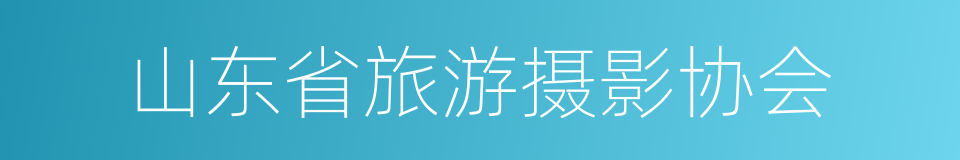 山东省旅游摄影协会的同义词
