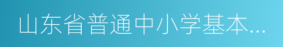 山东省普通中小学基本办学条件标准的同义词