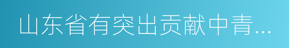 山东省有突出贡献中青年专家的同义词