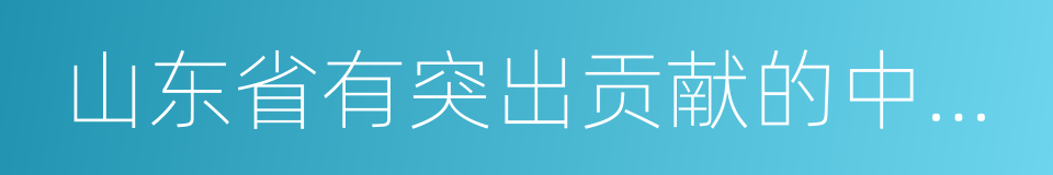 山东省有突出贡献的中青年专家选拔管理办法的同义词