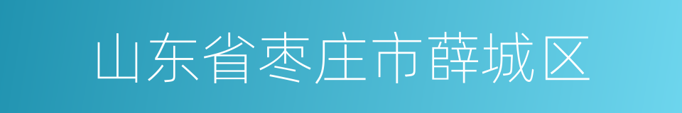 山东省枣庄市薛城区的同义词