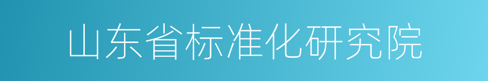 山东省标准化研究院的同义词