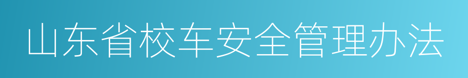 山东省校车安全管理办法的同义词