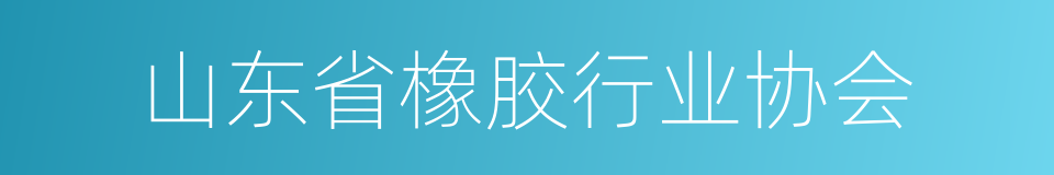 山东省橡胶行业协会的同义词