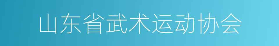 山东省武术运动协会的同义词