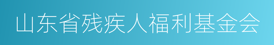 山东省残疾人福利基金会的同义词