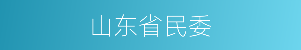 山东省民委的同义词