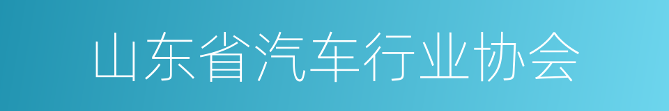 山东省汽车行业协会的同义词