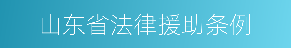 山东省法律援助条例的同义词