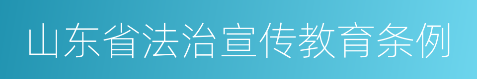 山东省法治宣传教育条例的同义词