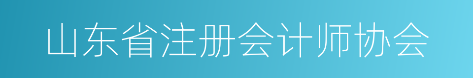 山东省注册会计师协会的同义词