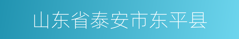 山东省泰安市东平县的同义词