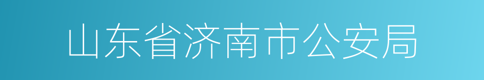 山东省济南市公安局的同义词