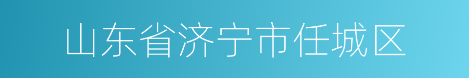 山东省济宁市任城区的同义词