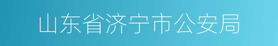 山东省济宁市公安局的同义词