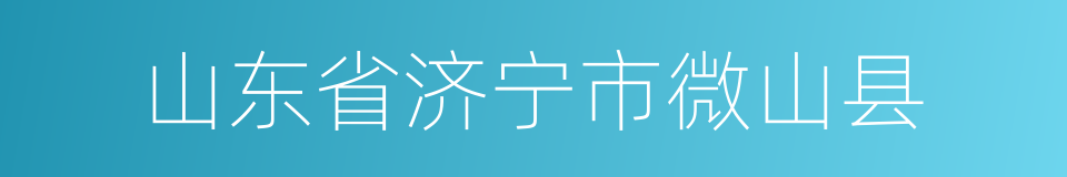 山东省济宁市微山县的同义词