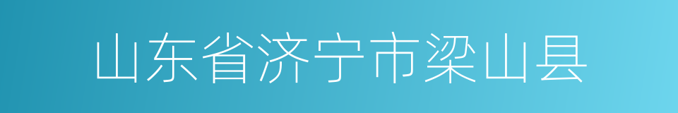 山东省济宁市梁山县的同义词