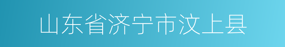 山东省济宁市汶上县的同义词