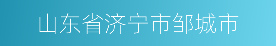 山东省济宁市邹城市的同义词