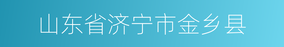 山东省济宁市金乡县的同义词