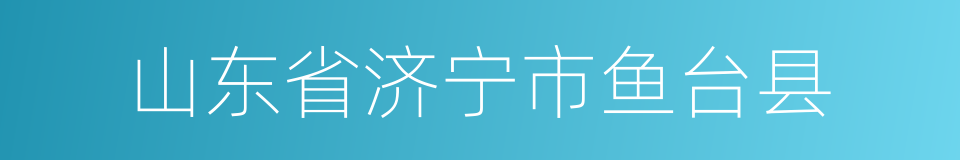 山东省济宁市鱼台县的同义词