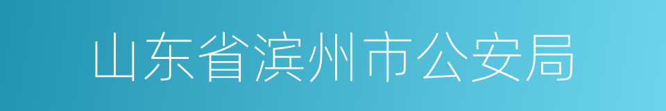 山东省滨州市公安局的同义词