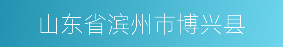 山东省滨州市博兴县的同义词