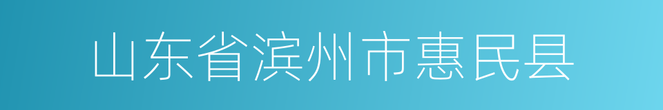 山东省滨州市惠民县的同义词