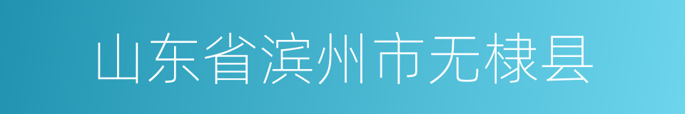 山东省滨州市无棣县的同义词