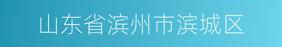 山东省滨州市滨城区的同义词