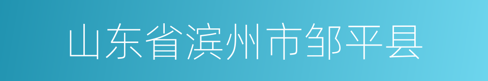 山东省滨州市邹平县的同义词