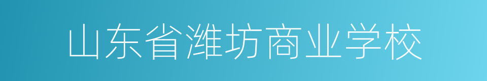 山东省潍坊商业学校的同义词