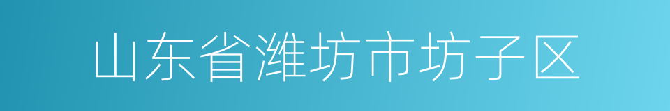 山东省潍坊市坊子区的同义词